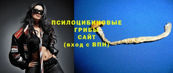 Альфа ПВП Богородицк